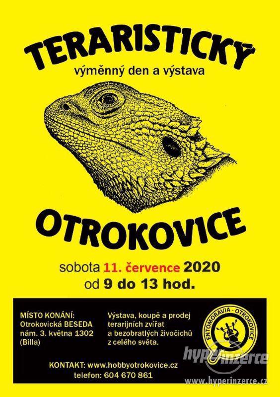 Teraristický výměnný den a výstava, Otrokovice - foto 2