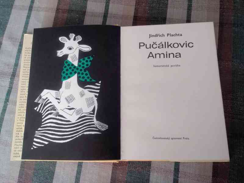 Pučálkovic Amina - foto 3