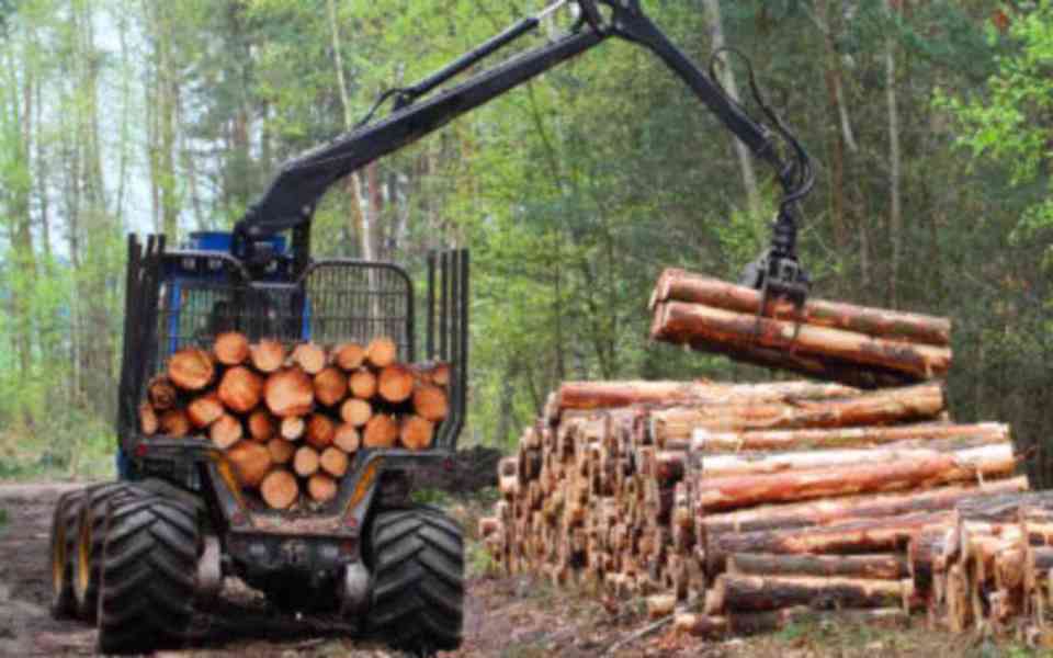Palivové dřevo prodej - Kryry - foto 6