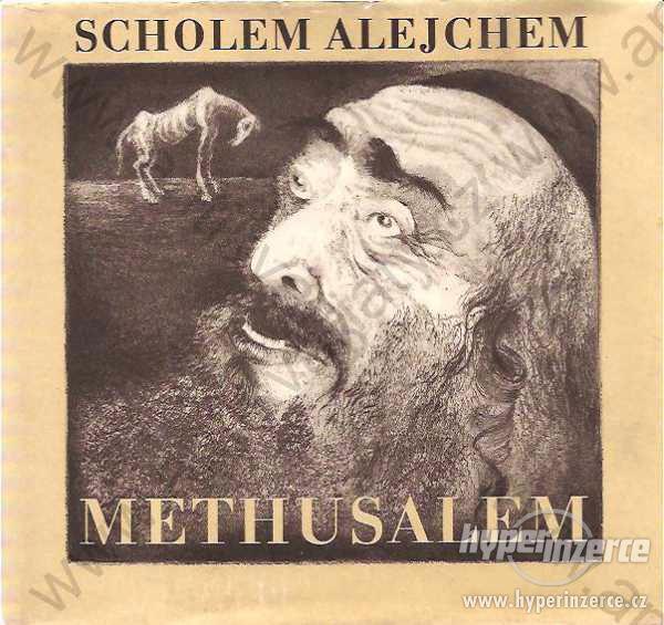 Methusalem - Die Geschichte eines Pferdes Alejchem - foto 1