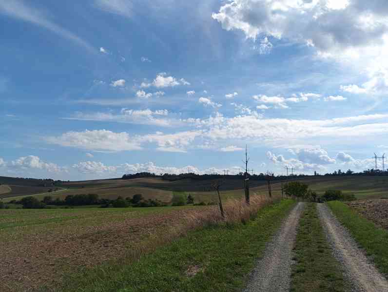 Prodej zahrady s chatou Ostoipovice, Brno-venkov, 588m2 - foto 14