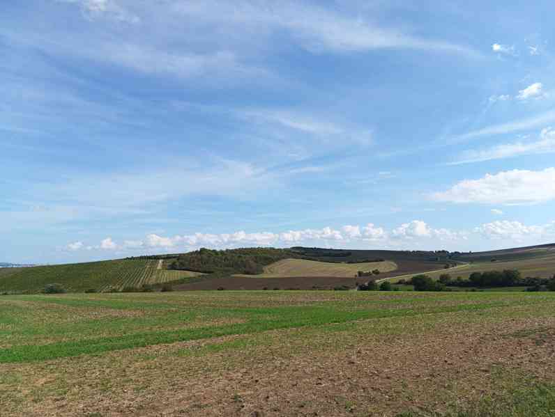 Prodej zahrady s chatou Ostoipovice, Brno-venkov, 588m2 - foto 15