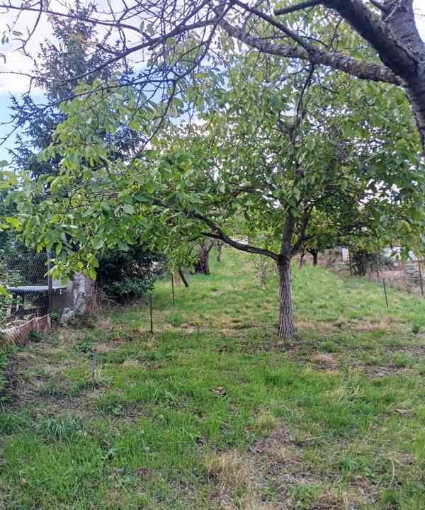 Prodej zahrady s chatou Ostoipovice, Brno-venkov, 588m2 - foto 7