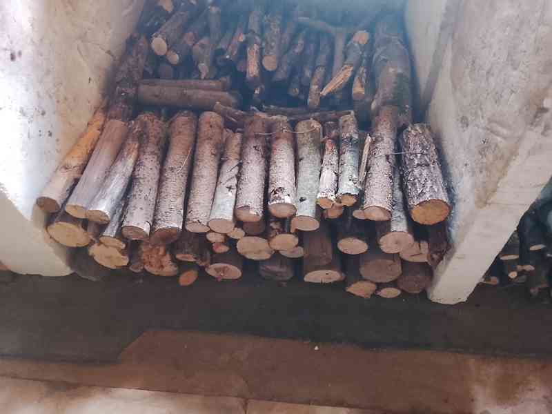 Dřevo  - foto 3