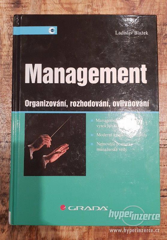 Management - Organizování, rozhodování, ovlivňování - foto 1