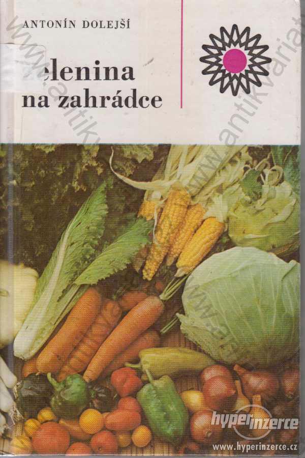 Zelenina na zahrádce Antonín Dolejší SZN 1983 - foto 1