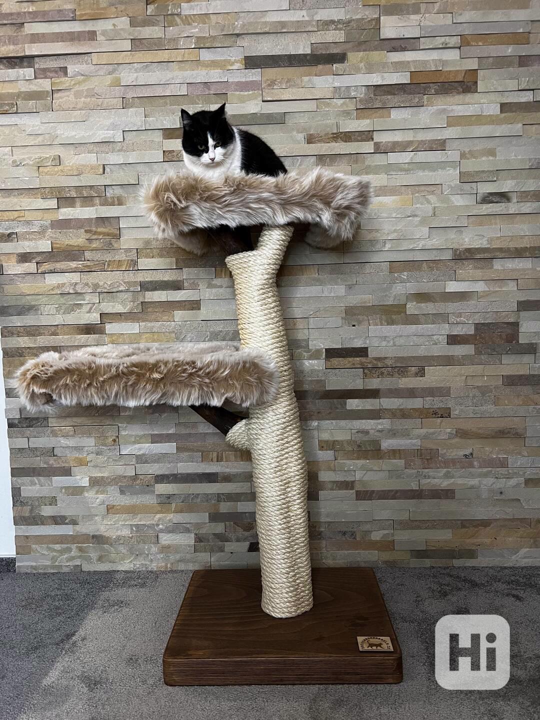 Kočičí stromy  - foto 1