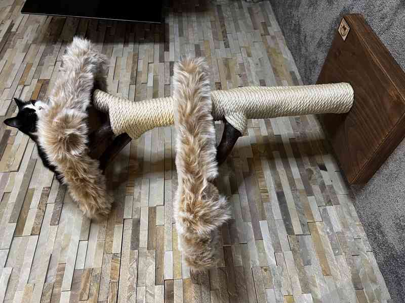 Kočičí stromy  - foto 3