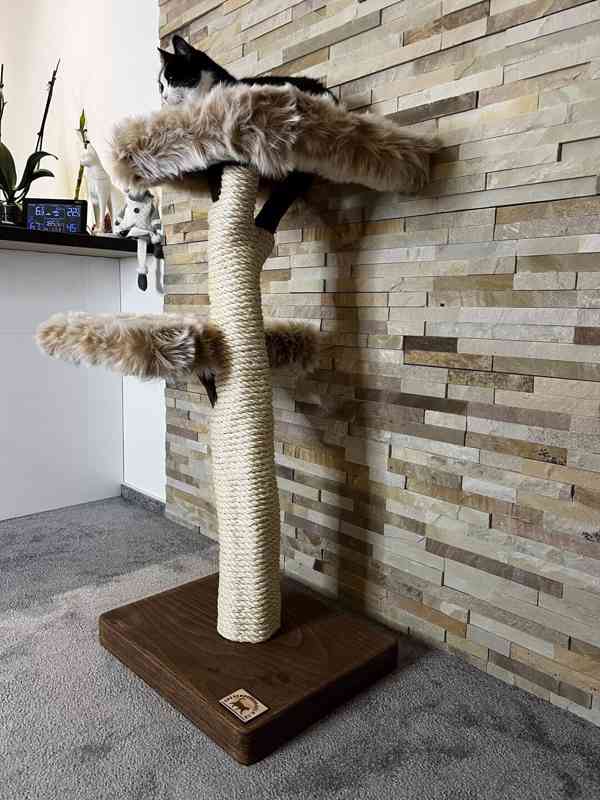 Kočičí stromy  - foto 2