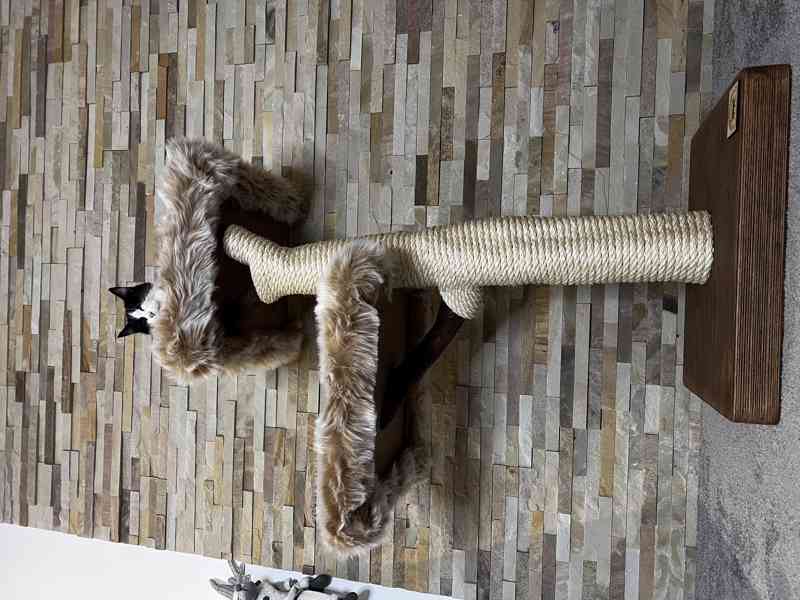 Kočičí stromy  - foto 4