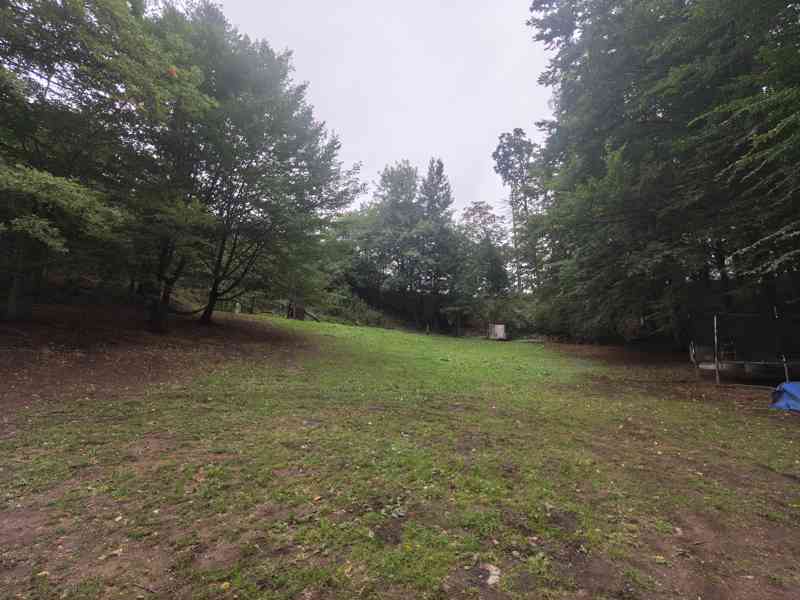 Náchod - Prodej souboru pozemků 5 859 m² s chatou - foto 5