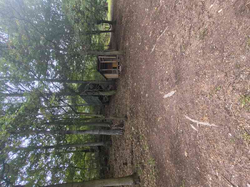 Náchod - Prodej souboru pozemků 5 859 m² s chatou - foto 2