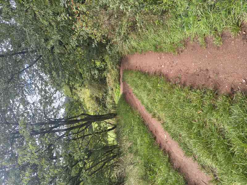 Náchod - Prodej souboru pozemků 5 859 m² s chatou - foto 7