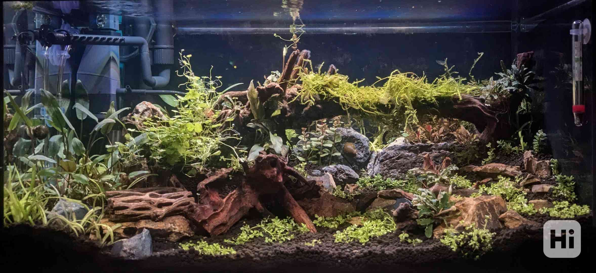 Akvárium 60x30x30 - Aquascaping/Krevetkarium highTech - foto 1