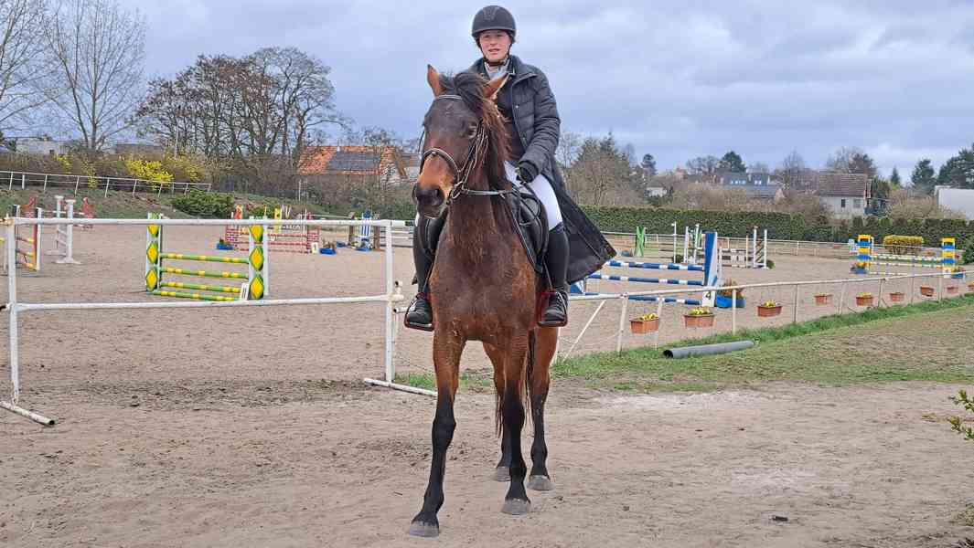 Klisna FURIOSO - foto 8