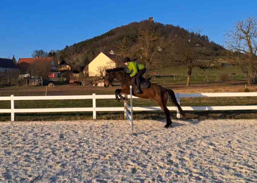 Klisna FURIOSO - foto 7