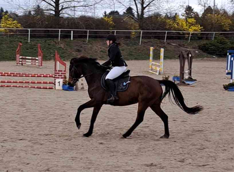 Klisna FURIOSO - foto 5