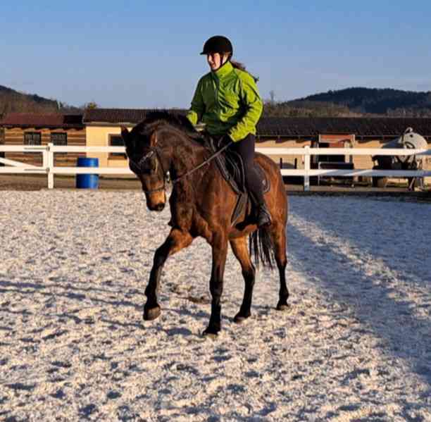 Klisna FURIOSO - foto 4