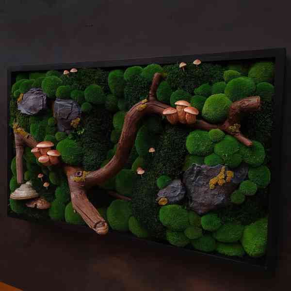 Mechový obraz / obraz ze stabilizovaného mechu - foto 3