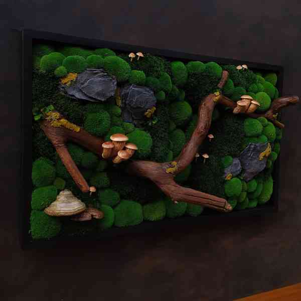 Mechový obraz / obraz ze stabilizovaného mechu - foto 2