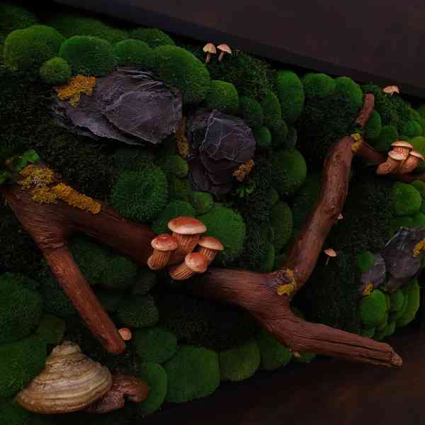 Mechový obraz / obraz ze stabilizovaného mechu - foto 5