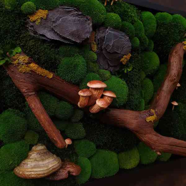 Mechový obraz / obraz ze stabilizovaného mechu - foto 4