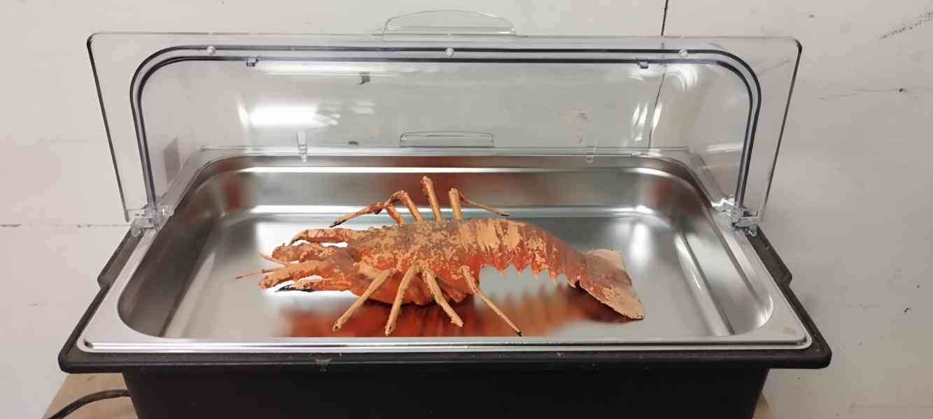 Elektrický chafing dish - vana - foto 4