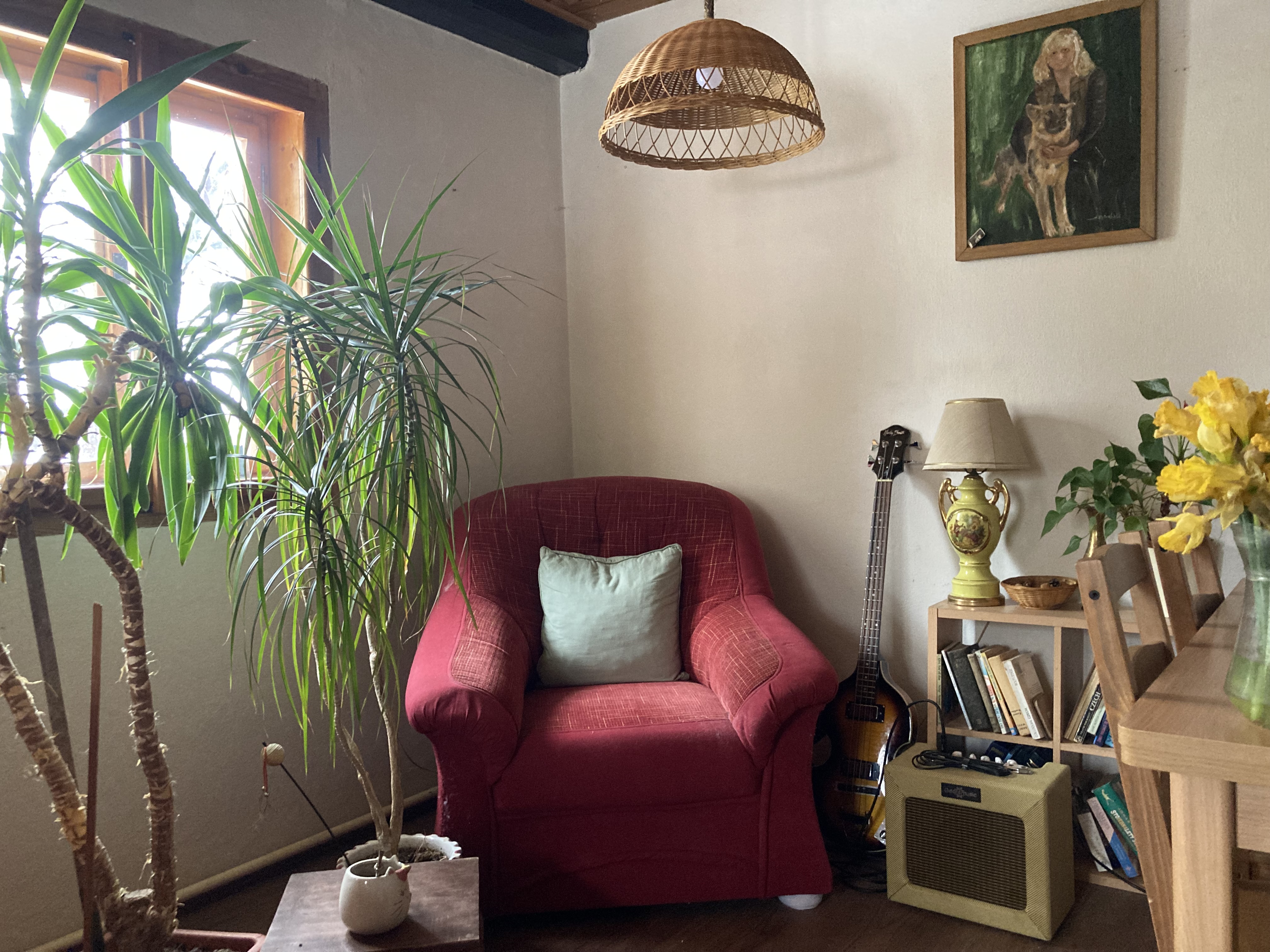 Rodinný domek 5+kk s krbem, stodolou - foto 11