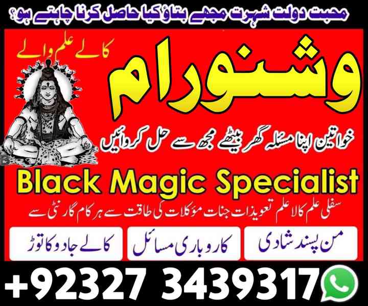 amil baba in usa, family issues, domestic problems, family