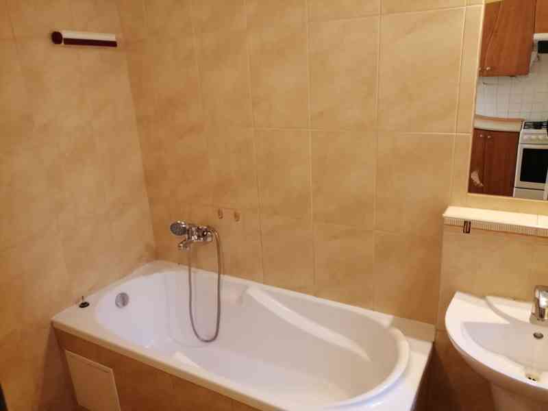 Pronájem 1+1, ulice Dornych, centrum (u Vaňkovky), 42 m2, ko - foto 8