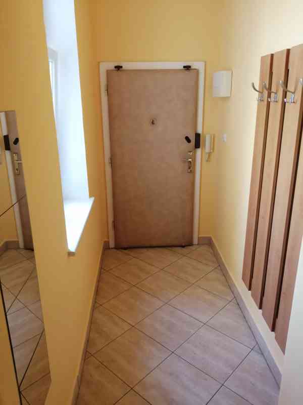 Pronájem 1+1, ulice Dornych, centrum (u Vaňkovky), 42 m2, ko - foto 10