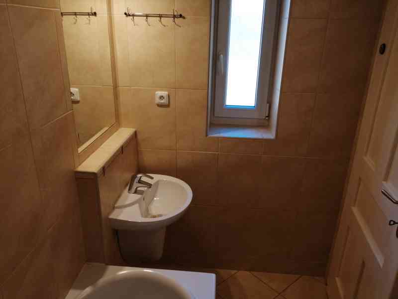 Pronájem 1+1, ulice Dornych, centrum (u Vaňkovky), 42 m2, ko - foto 7