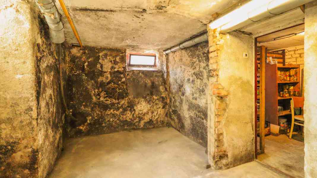 Prodej rodinného domu se zahradou a garáží v Horažďovicích - foto 21