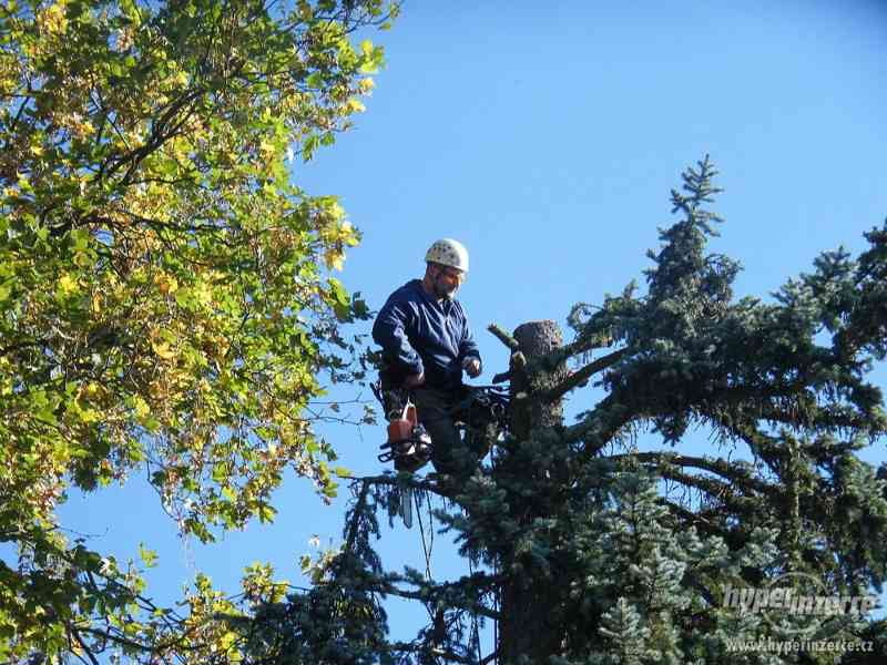 Kácení stromů Blansko, Rizikové kácení - foto 5