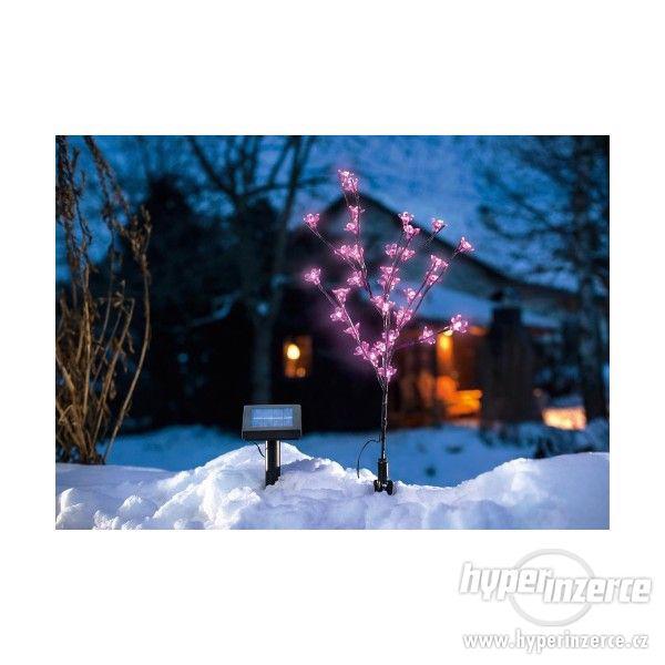 Solární LED kvetoucí keř - růžové květy Esotec - foto 1