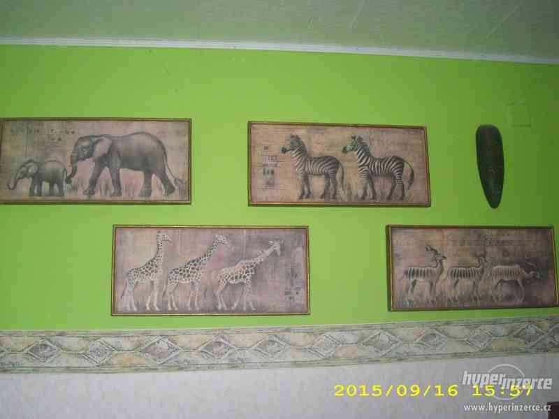 4x tématický obraz africká zvířata-sada - foto 1