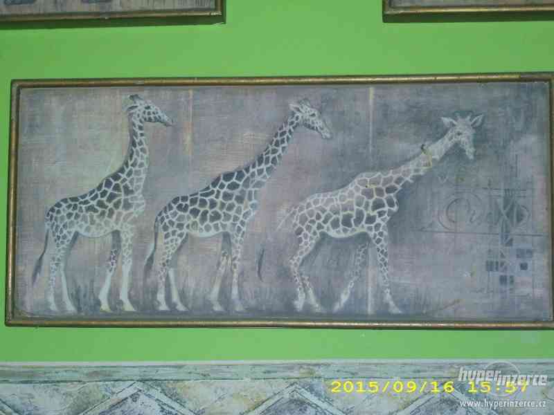 4x tématický obraz africká zvířata-sada - foto 2