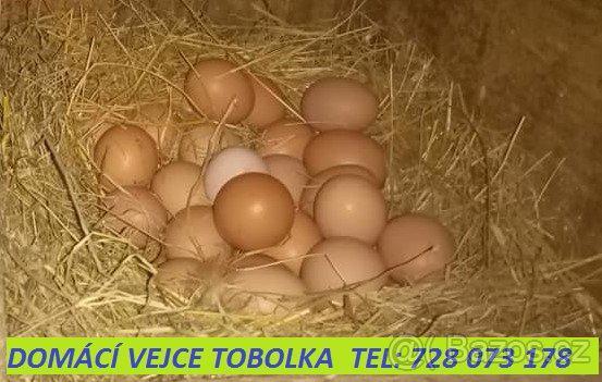 Prodám slepičí vejce ze dvora přebytek (BEROUNSKO) - foto 1