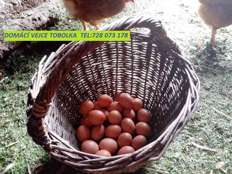 Prodám slepičí vejce ze dvora přebytek (BEROUNSKO) - foto 2