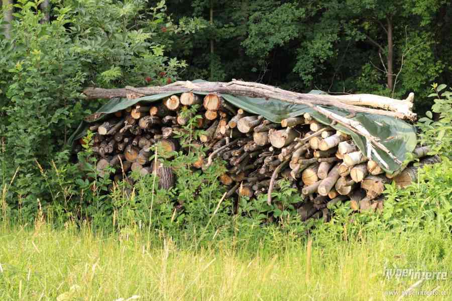 Palivové dřevo - dub, bříza, osika - foto 1
