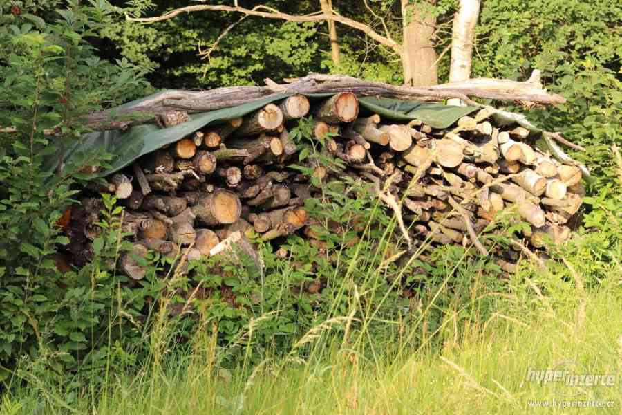 Palivové dřevo - dub, bříza, osika - foto 2