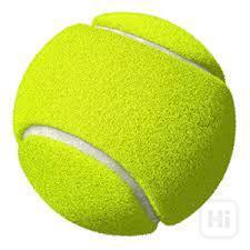 Tenisáky - Tenisové míčky pro pejsky a děti na hraní - foto 1