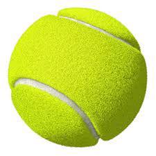 Tenisáky - Tenisové míčky pro pejsky a děti na hraní