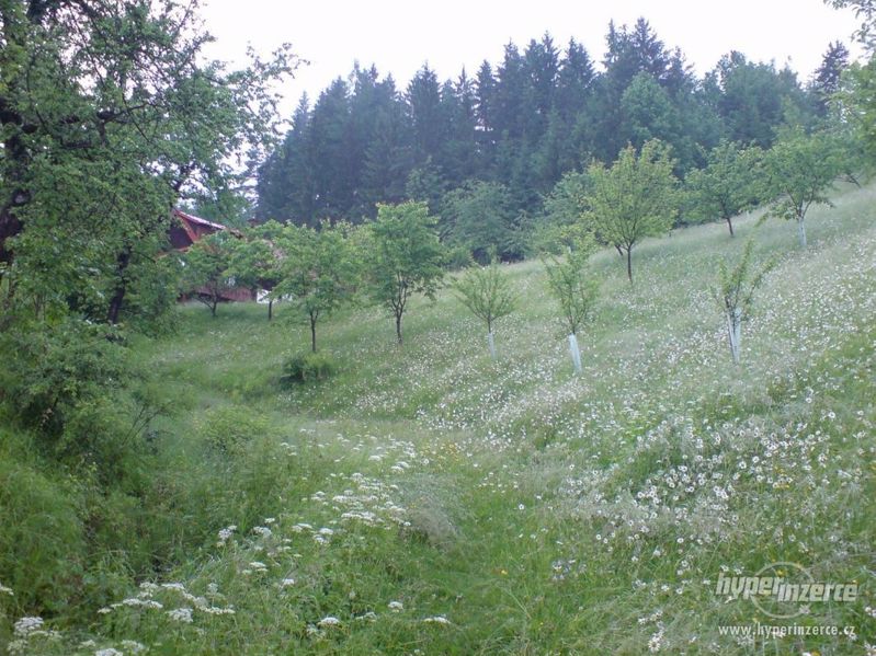 Valašská chalupa na samotě u lesa, v CHKO Beskydy  - foto 61