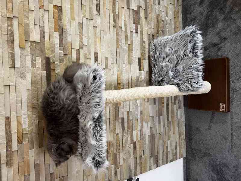 Škrabadlo pro kočky  - foto 3