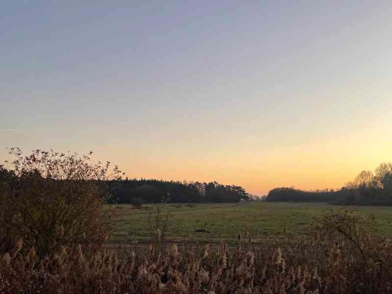 Veľký Pozemok 45 172 m² pri Malých Levároch - foto 21