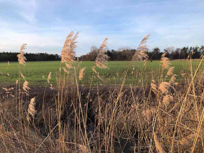 Veľký Pozemok 45 172 m² pri Malých Levároch - foto 19