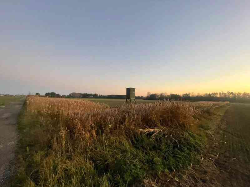 Veľký Pozemok 45 172 m² pri Malých Levároch - foto 15