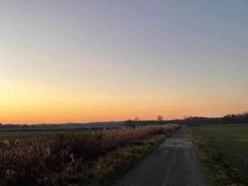 Veľký Pozemok 45 172 m² pri Malých Levároch - foto 20