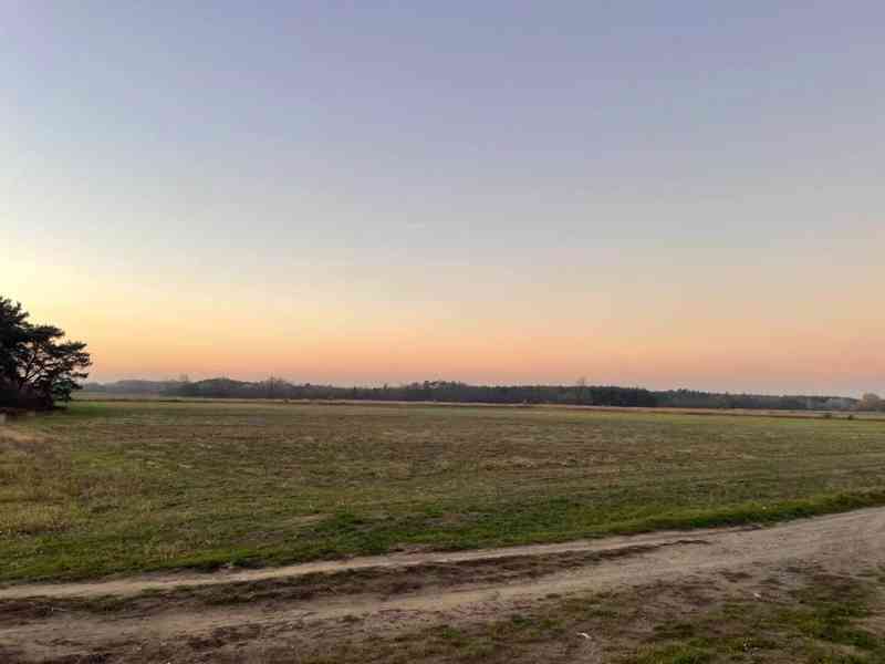 Veľký Pozemok 45 172 m² pri Malých Levároch - foto 6